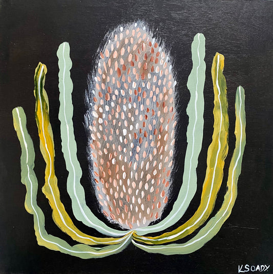 Evening Banksia #11