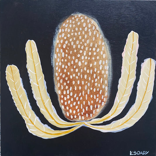 Evening Banksia #14