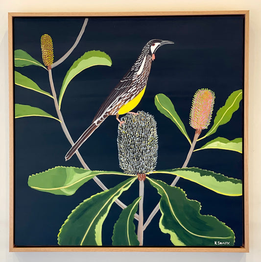 Wattlebird and Robur