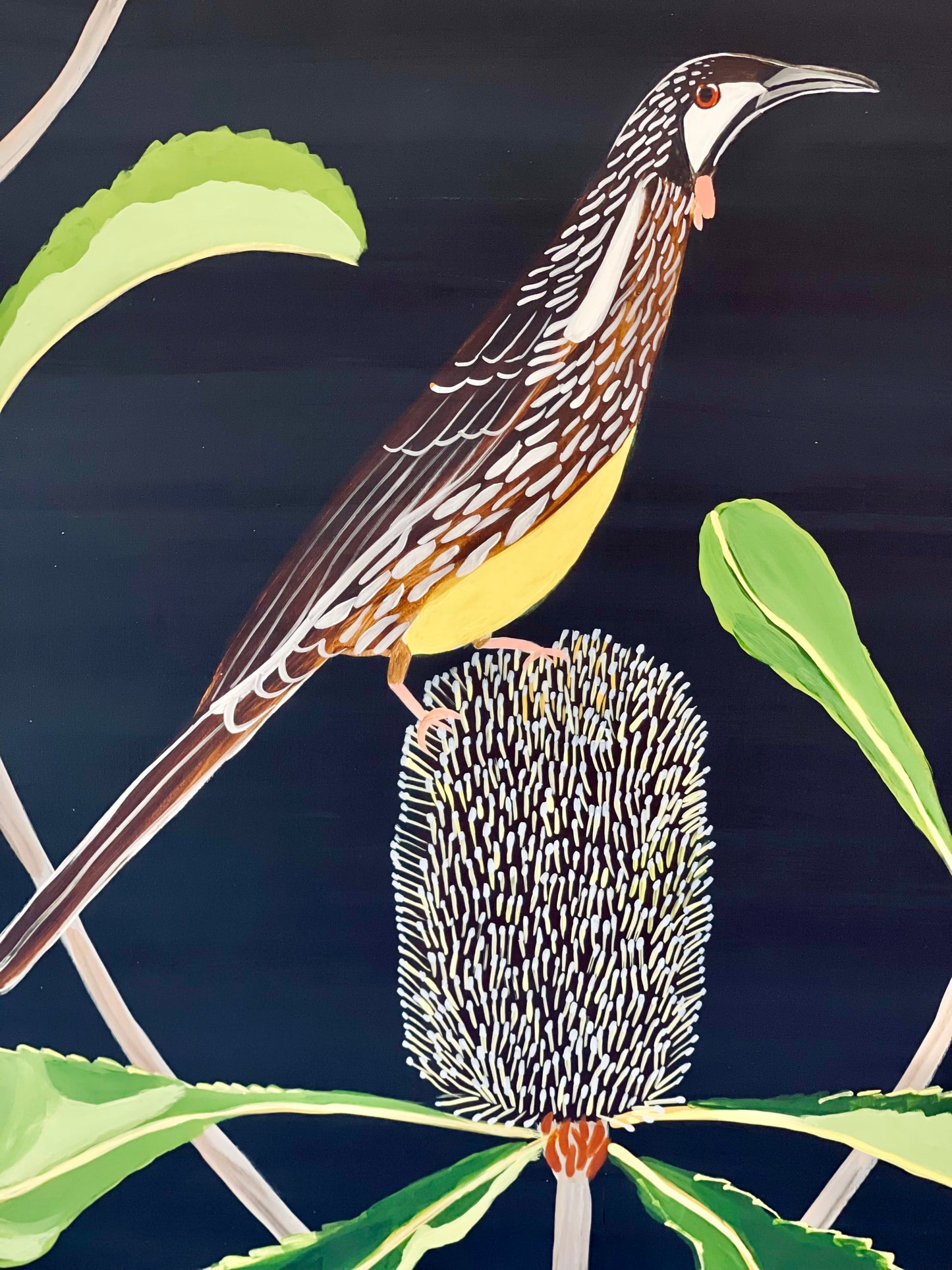 Wattlebird and Robur