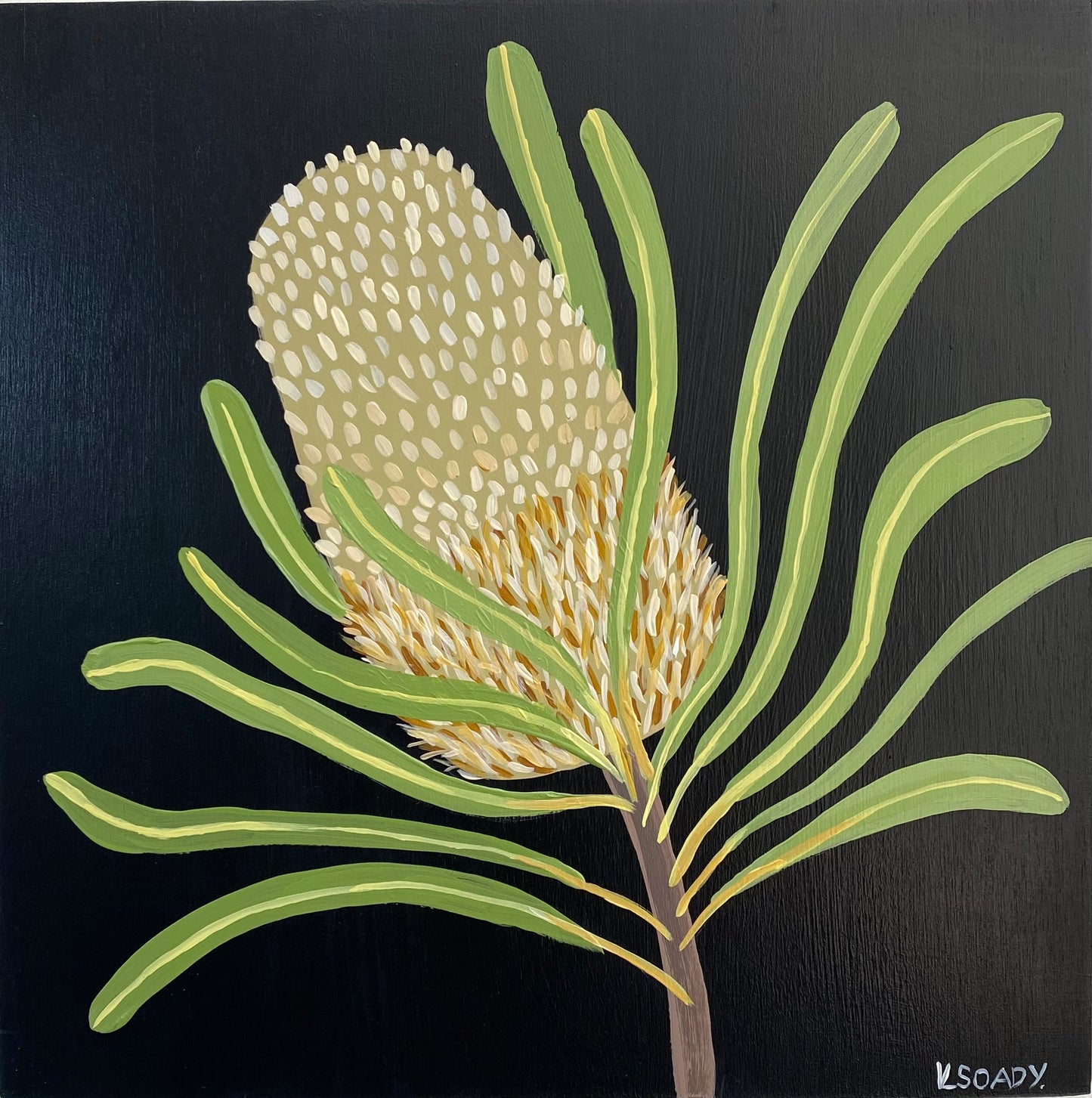 Midnight Banksia #2