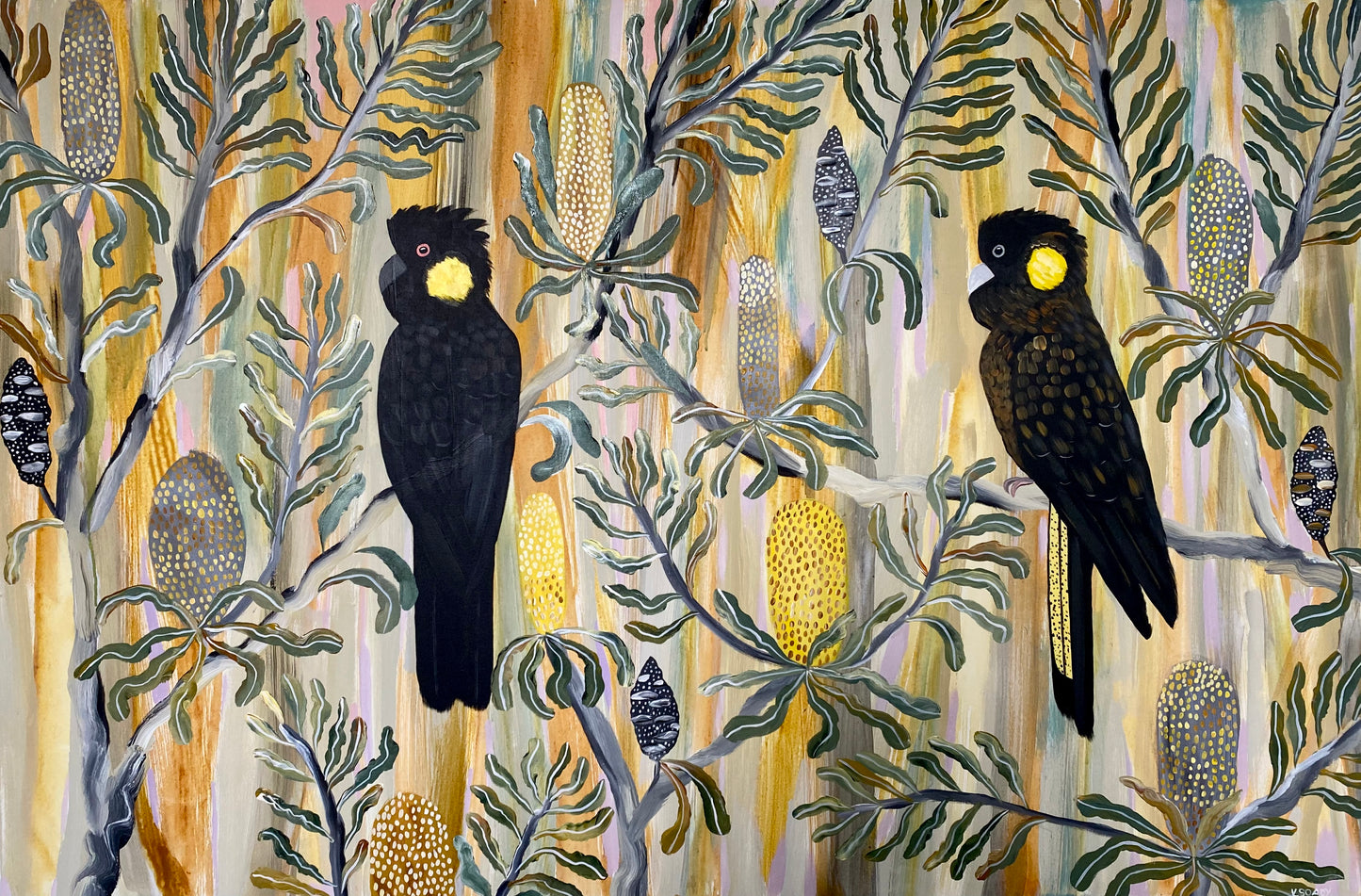 summer black cockatoos #4