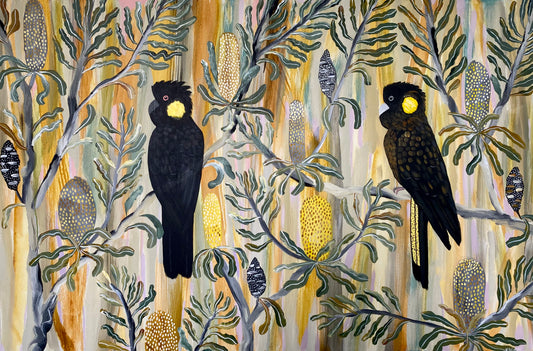 summer black cockatoos #4