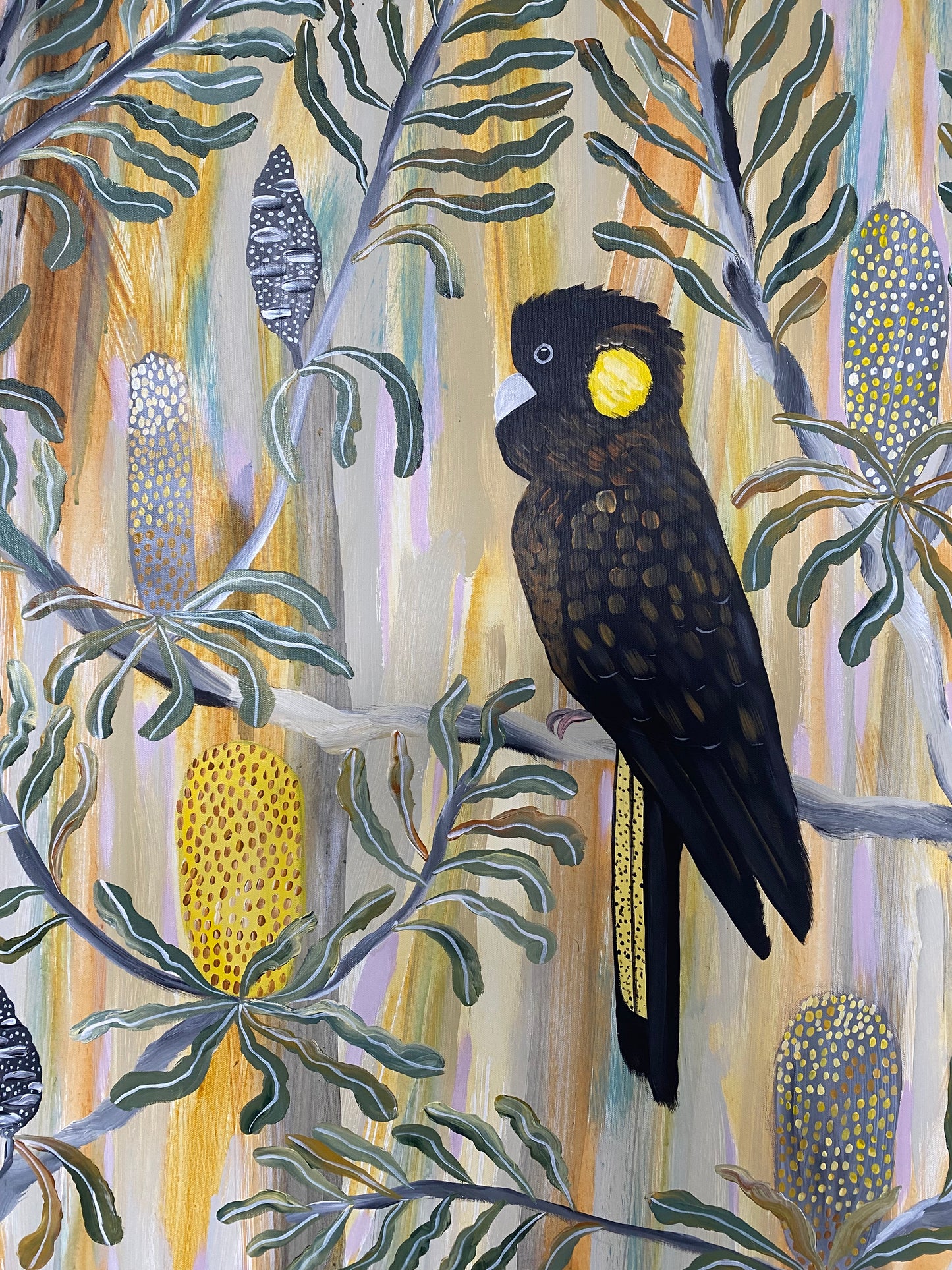 summer black cockatoos #4