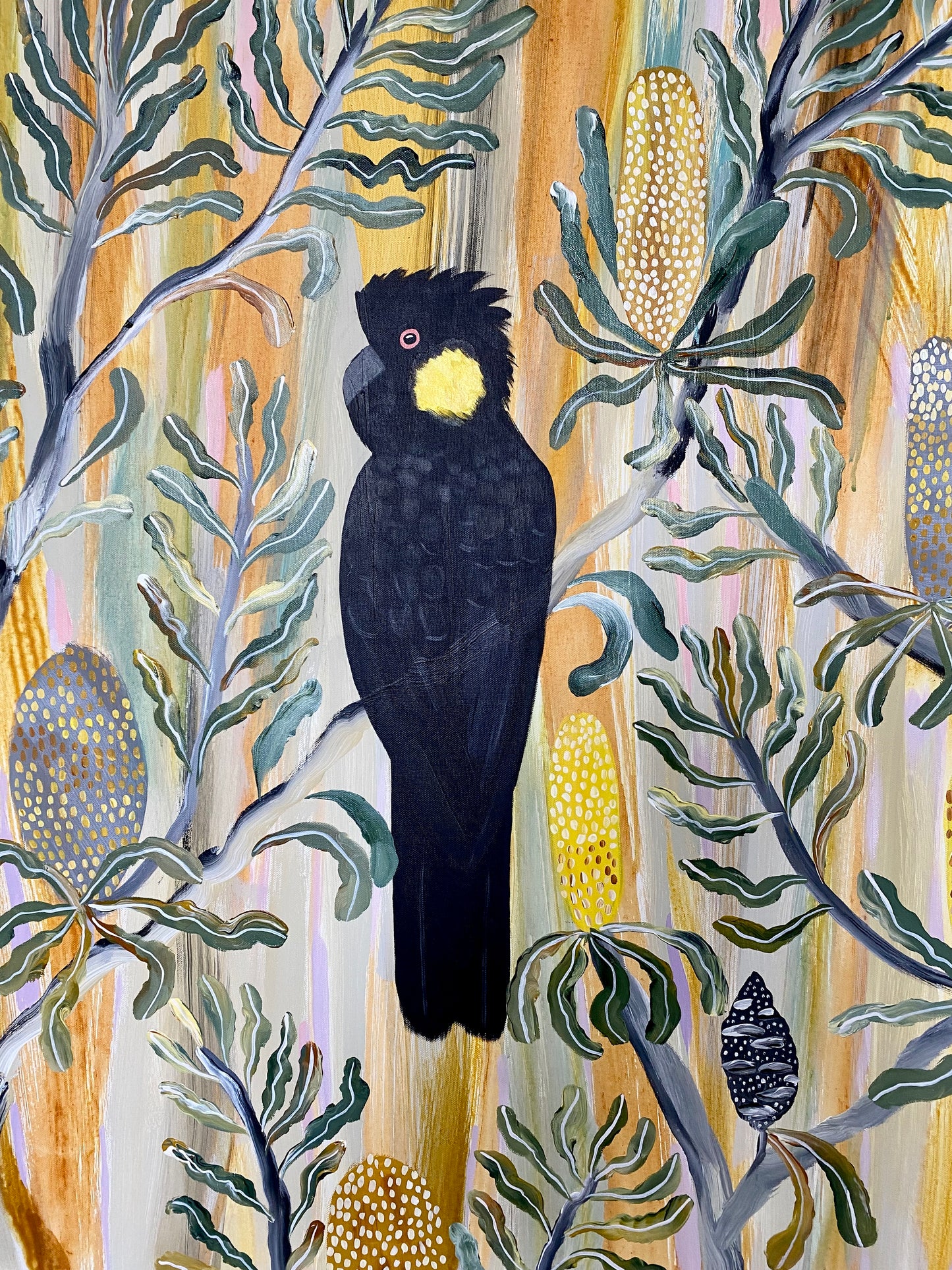 summer black cockatoos #4