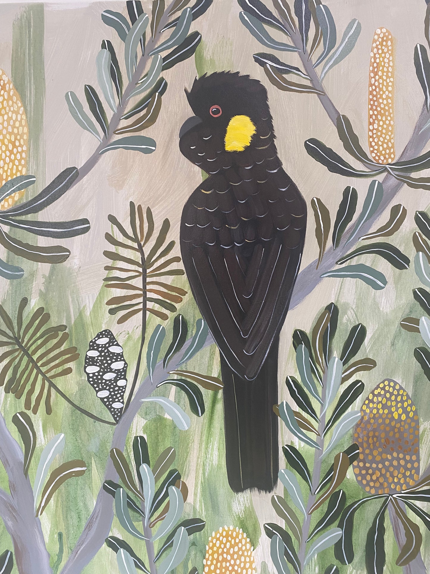 Black Cockatoos in The Banksia #5