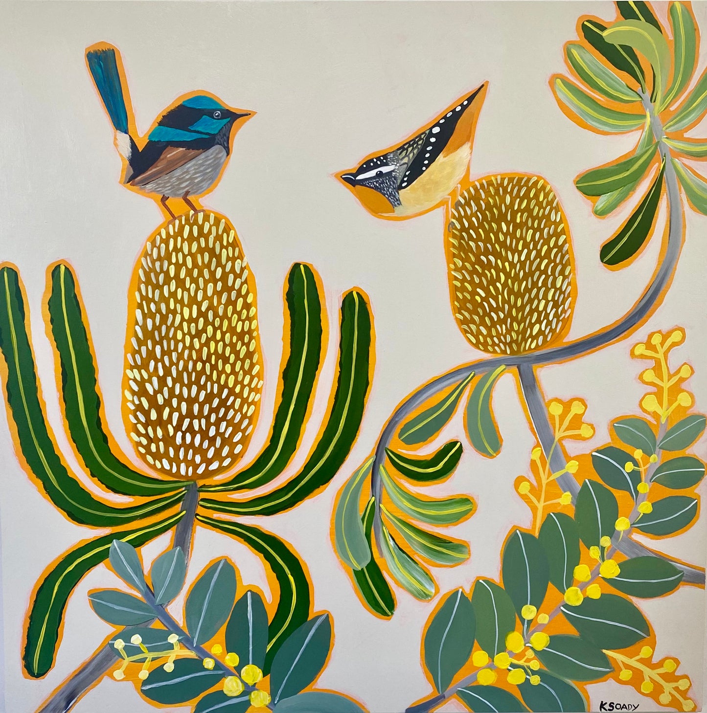 Fairy wren and Pardalote in the Natives