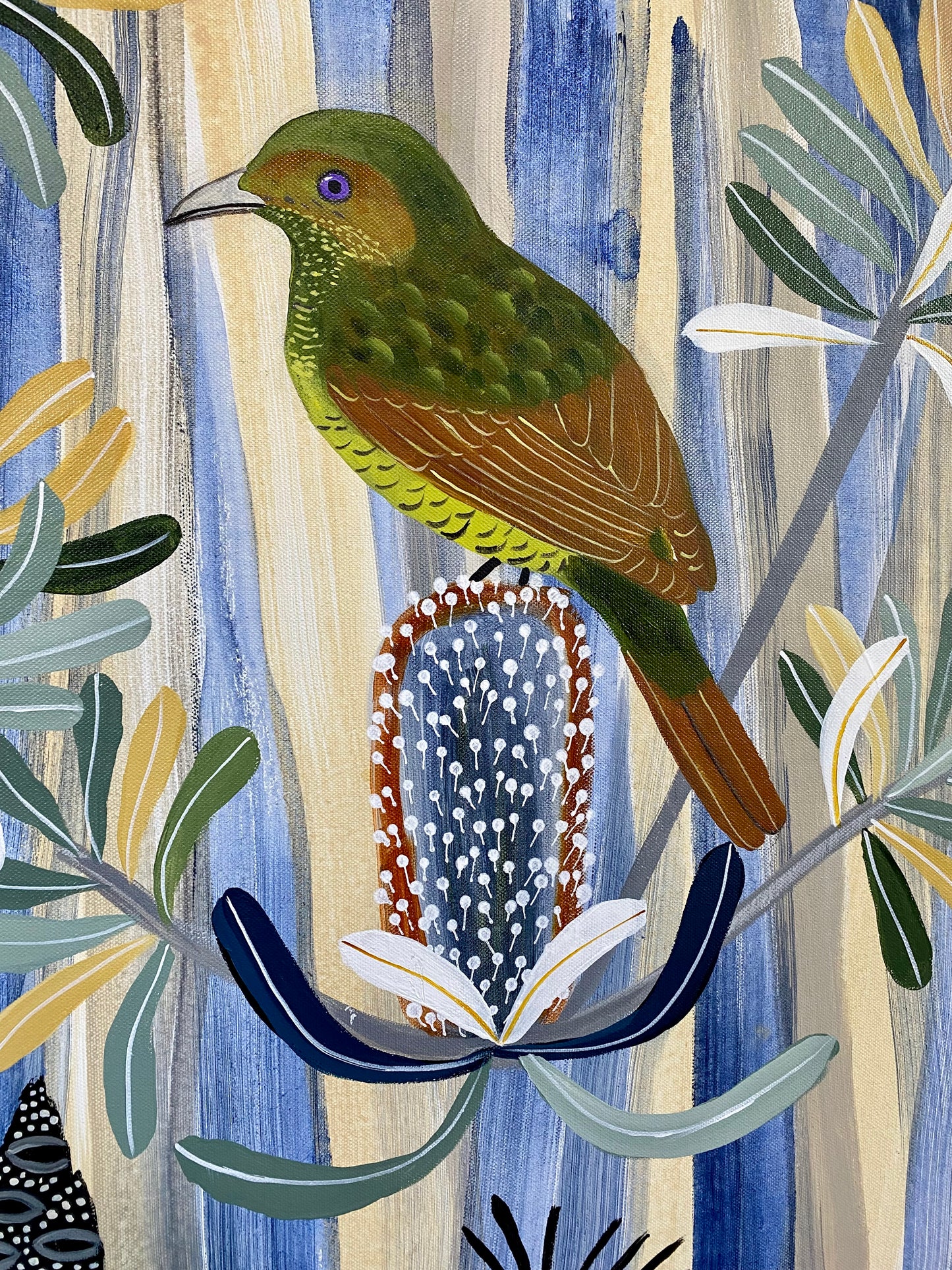 Bowerbird and the Banksia