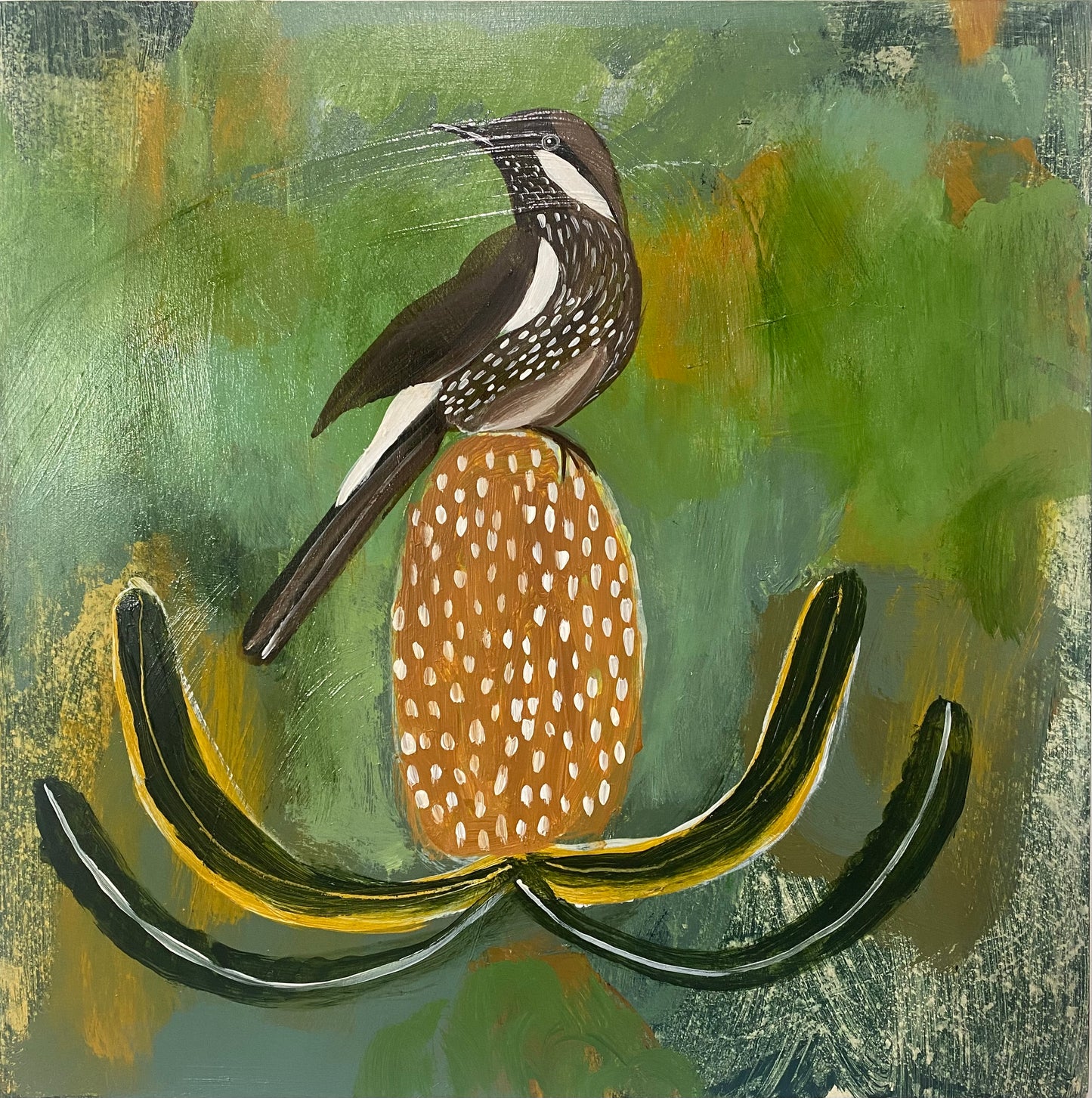 Wattlebird