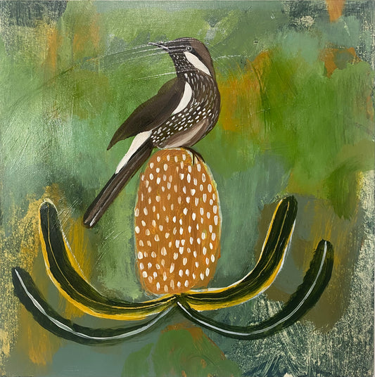 Wattlebird