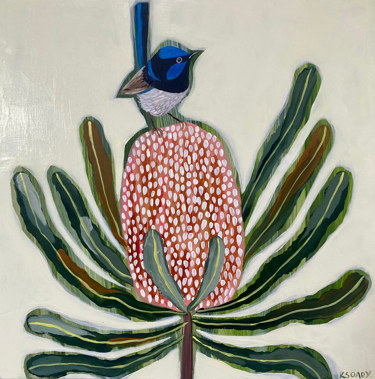 Fairy Wren and Banksia #2