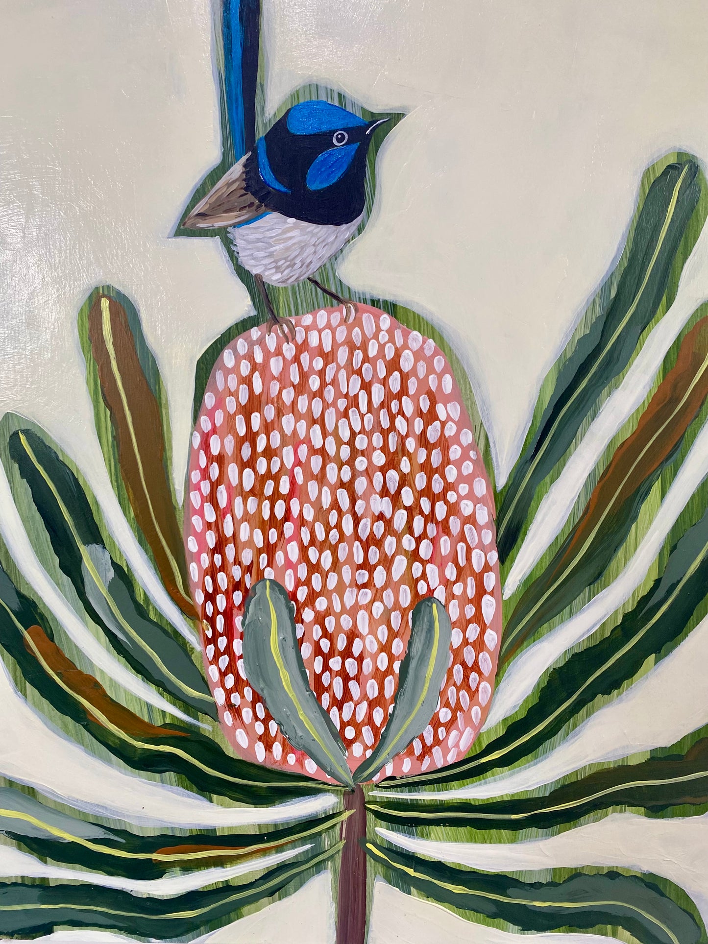 Fairy Wren and Banksia #2