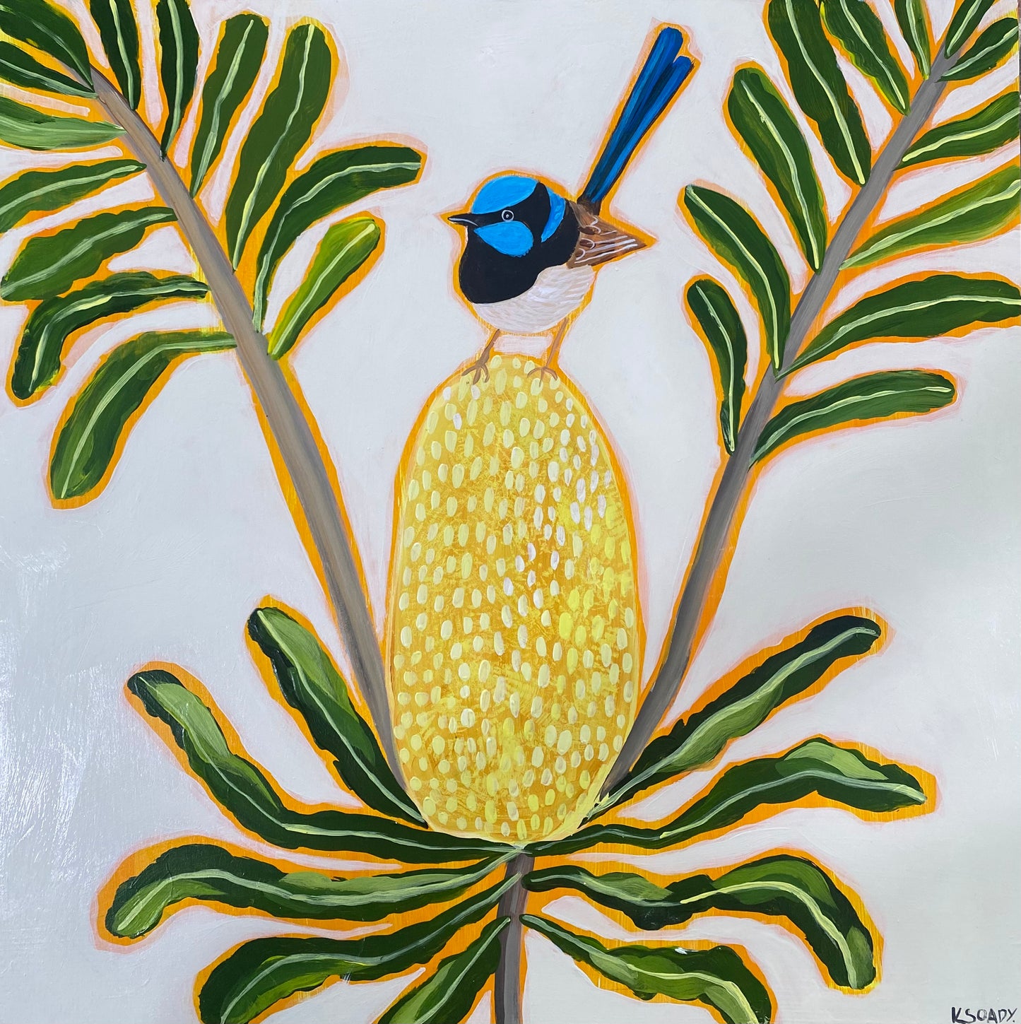 Fairy Wren and Banksia #5