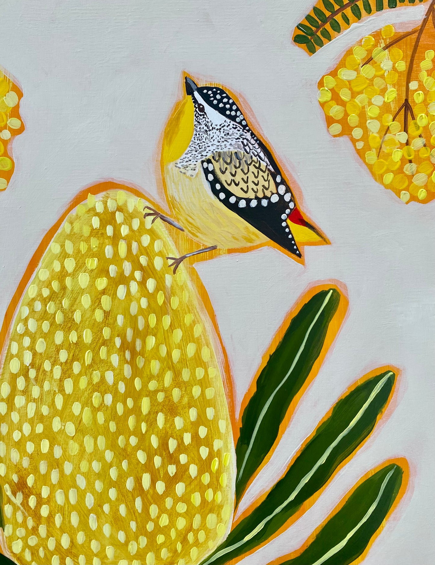 Pardalote and banksia #2