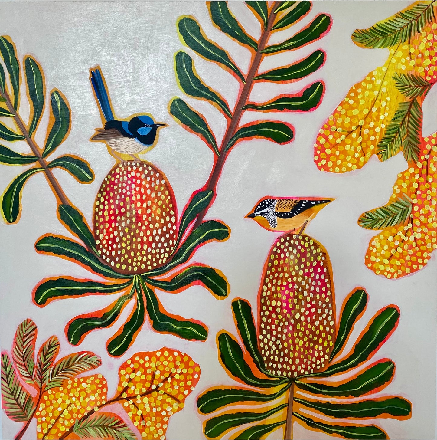 Joyful Natives #3