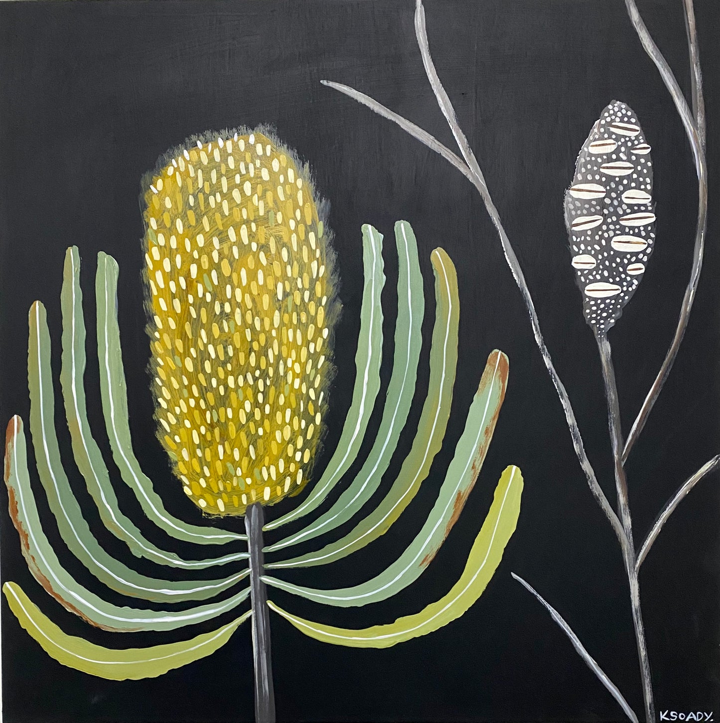 Banksia Nocturne & Pod #1