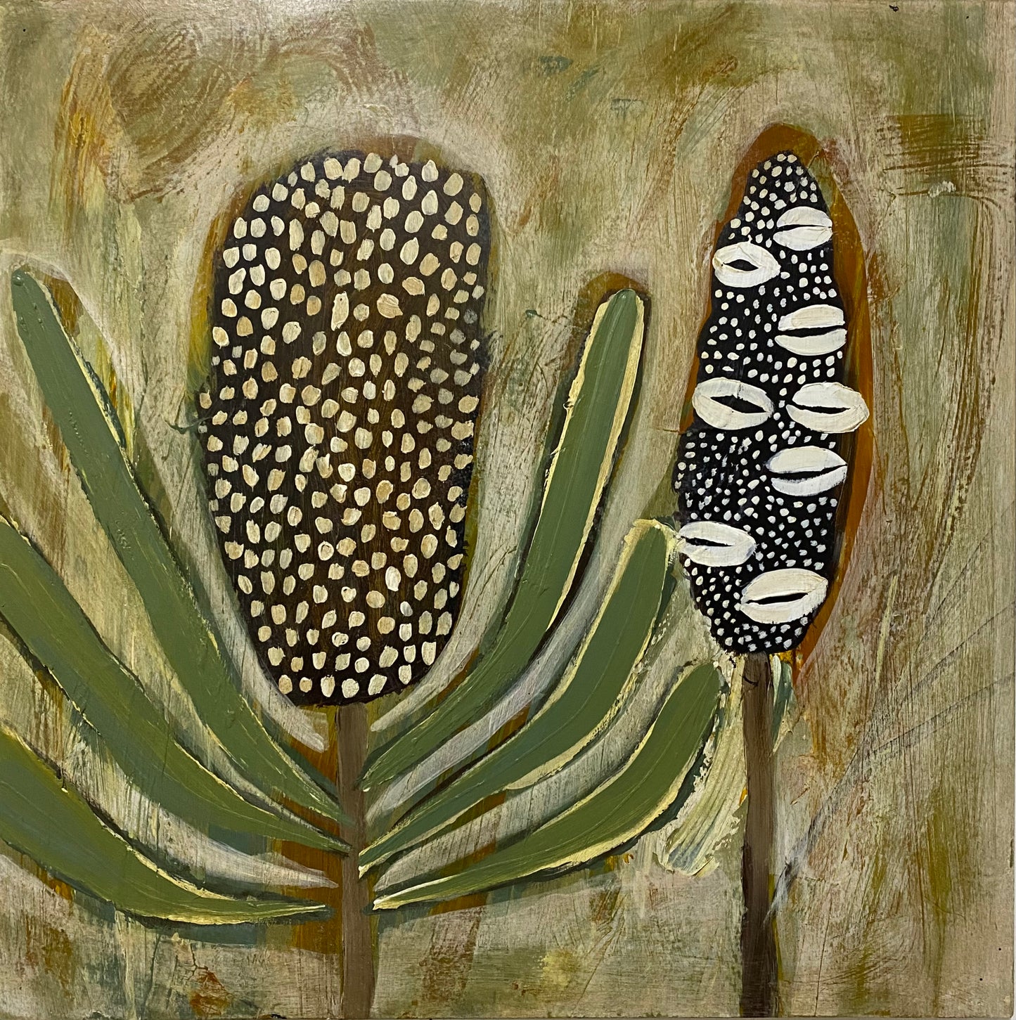 Banksia Blooms & Pod #7