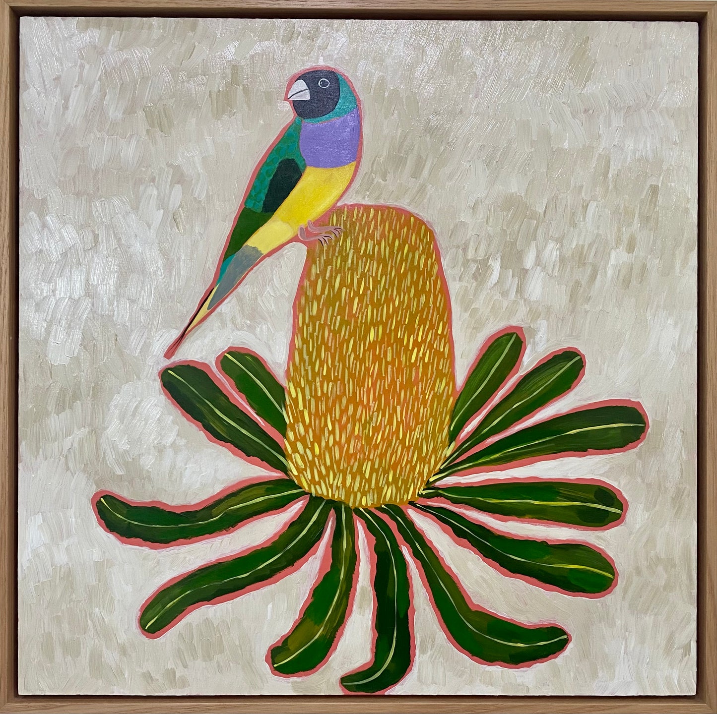 Gouldian Finch