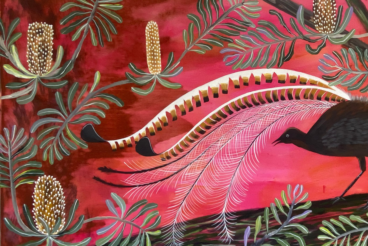 Dusk Lyrebird