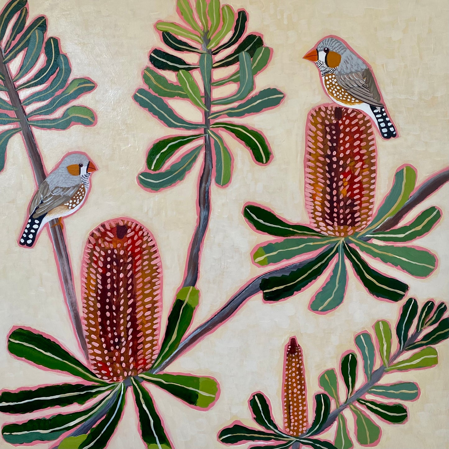 Zebra Finch and Banksia