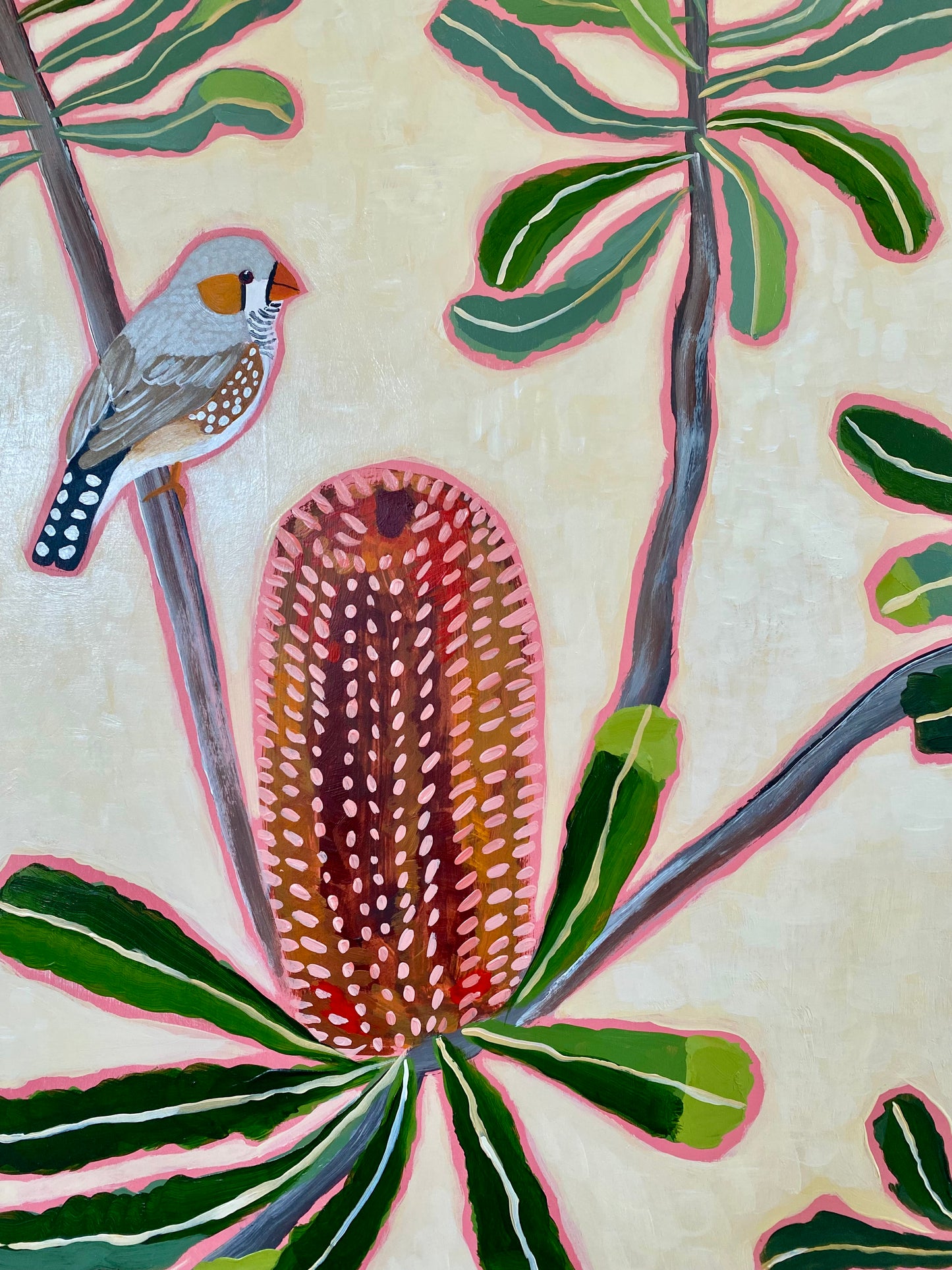 Zebra Finch and Banksia