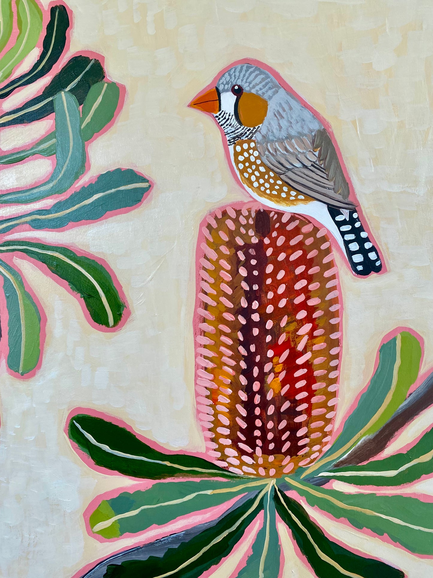 Zebra Finch and Banksia
