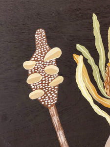 Pod and Banksia #2