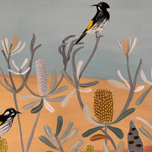 Load image into Gallery viewer, Coastal Honeyeaters