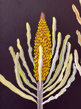 Load image into Gallery viewer, Banksias #6