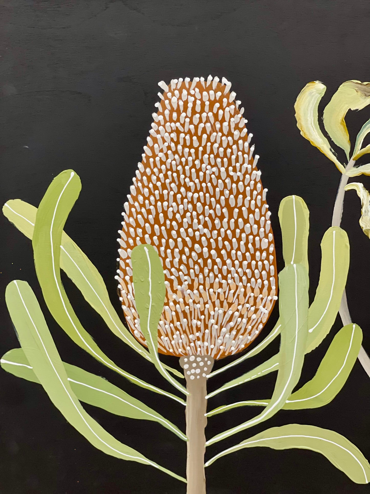 Pod and Banksia #6