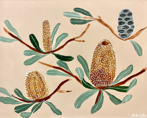 Banksia Serrata #8