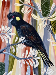 Desert Banksia and Black Cockatoos #2