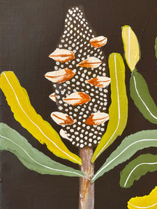 Banksia and Pods