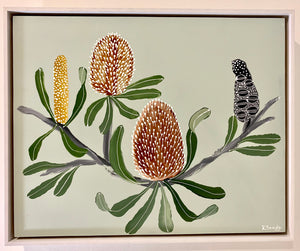 Banksia Serrata #9