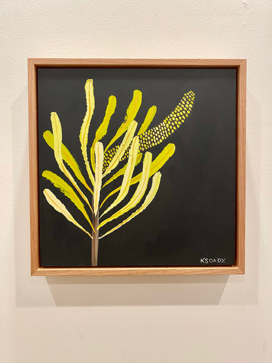 Banksia #5