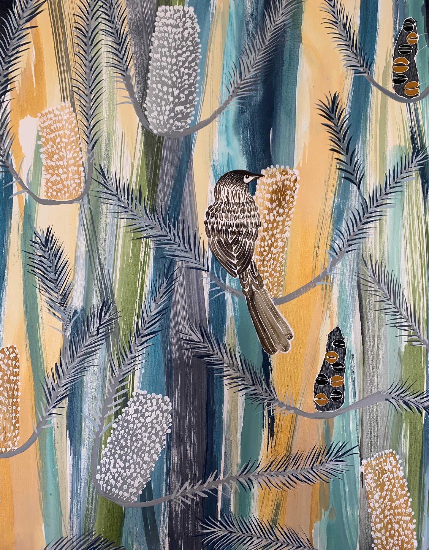 Blue Mountains Wattlebirds