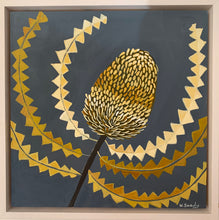 Load image into Gallery viewer, Banksia Menzie #1