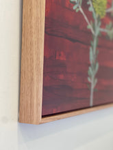 Load image into Gallery viewer, Banksia #16