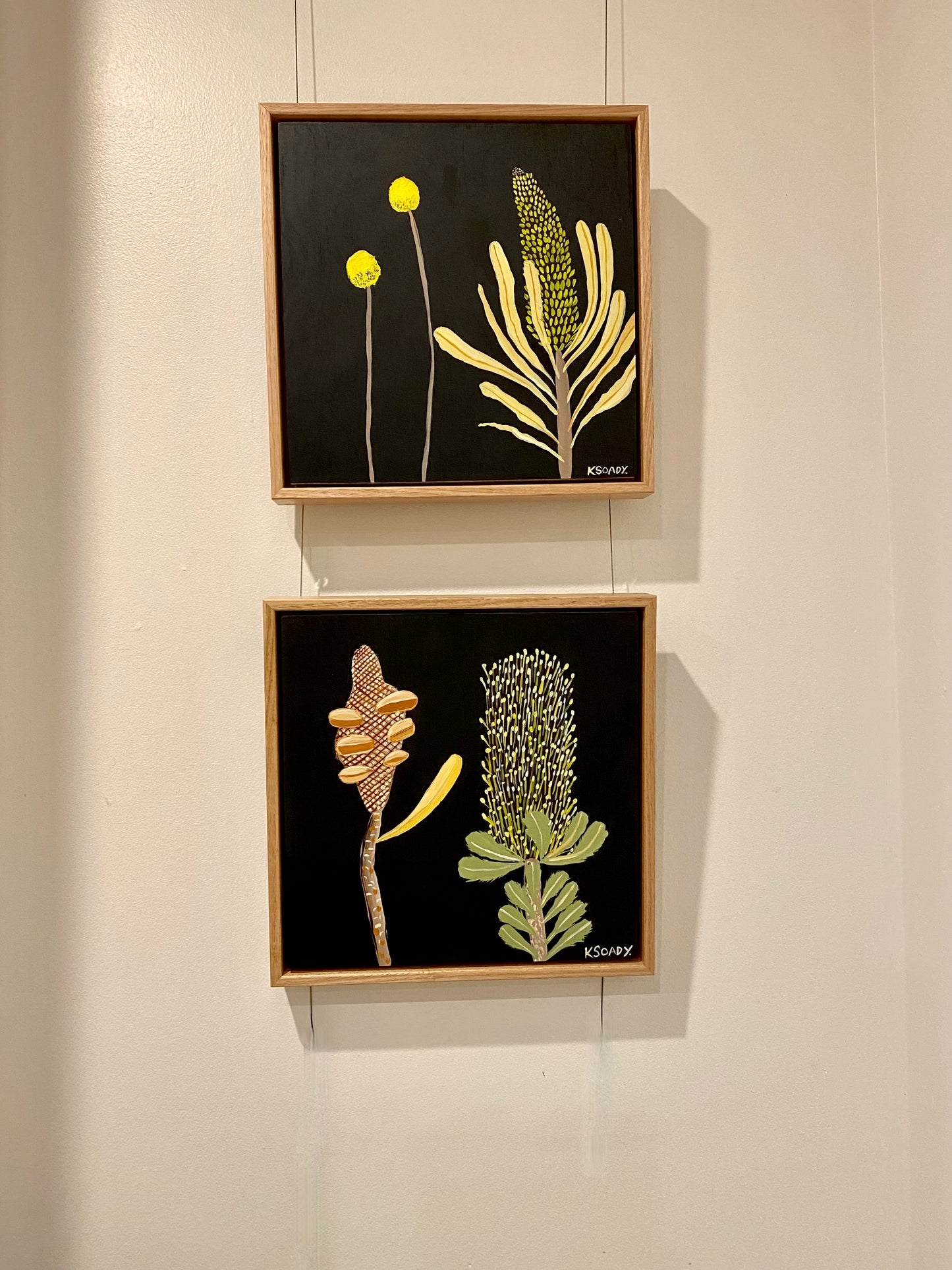 Pod and Banksia #2