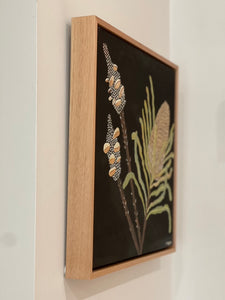 Pods and Banksia #2