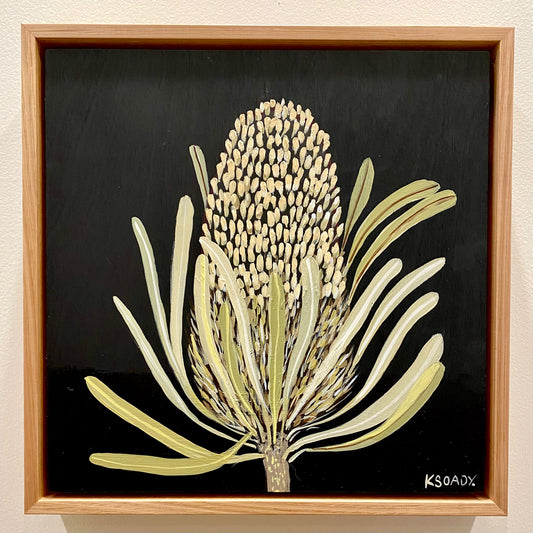 Banksia #4
