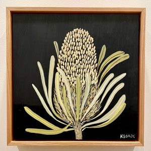 Banksia #4