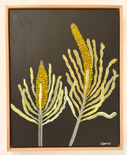 Load image into Gallery viewer, Banksias #6