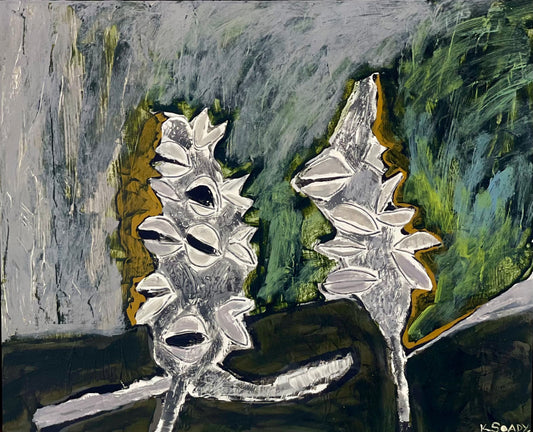 Banksia Pods
