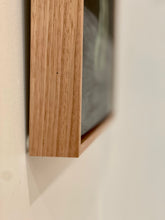 Load image into Gallery viewer, Billy Buttons &amp; Banksia #5