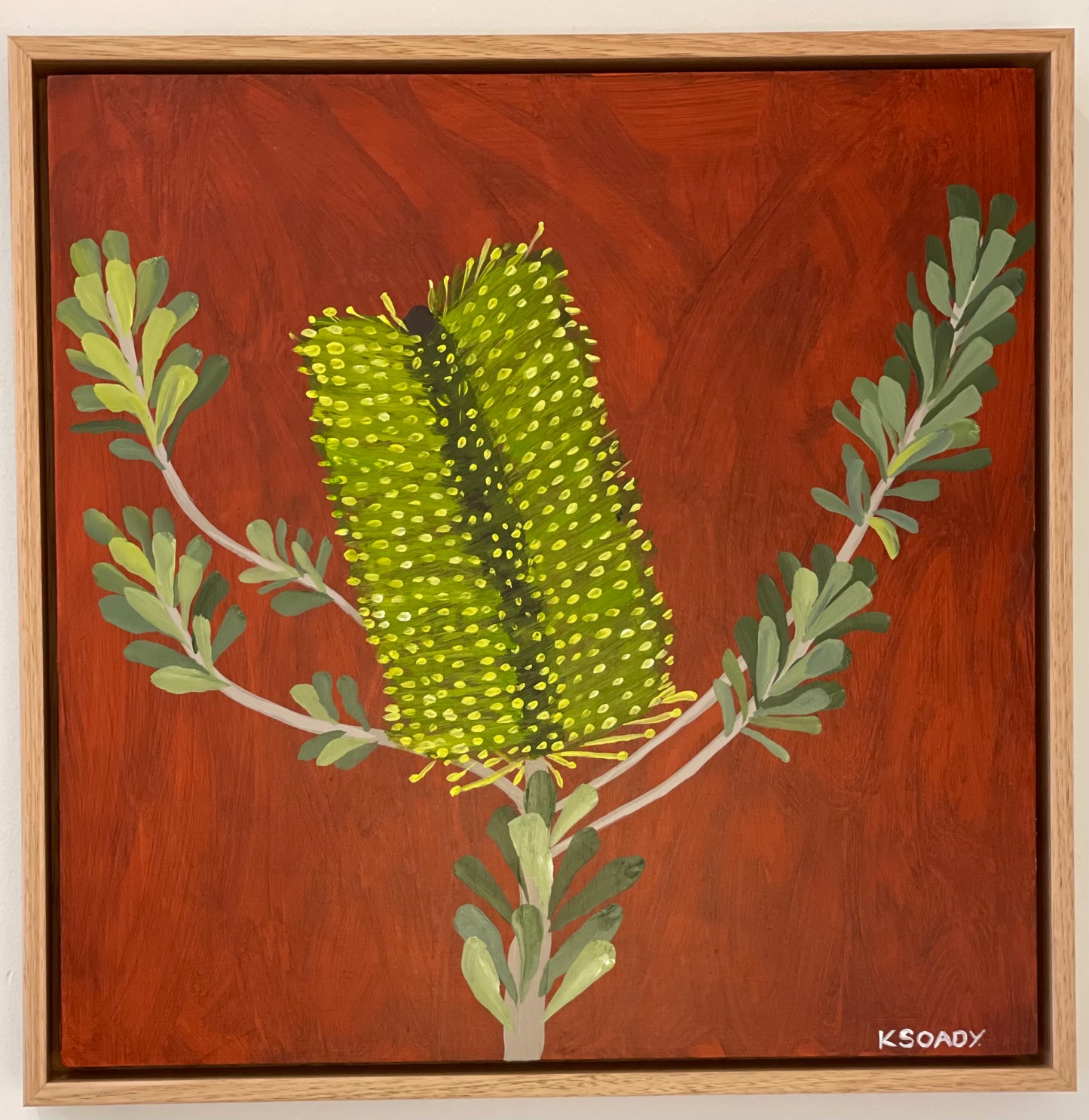 Banksia #15