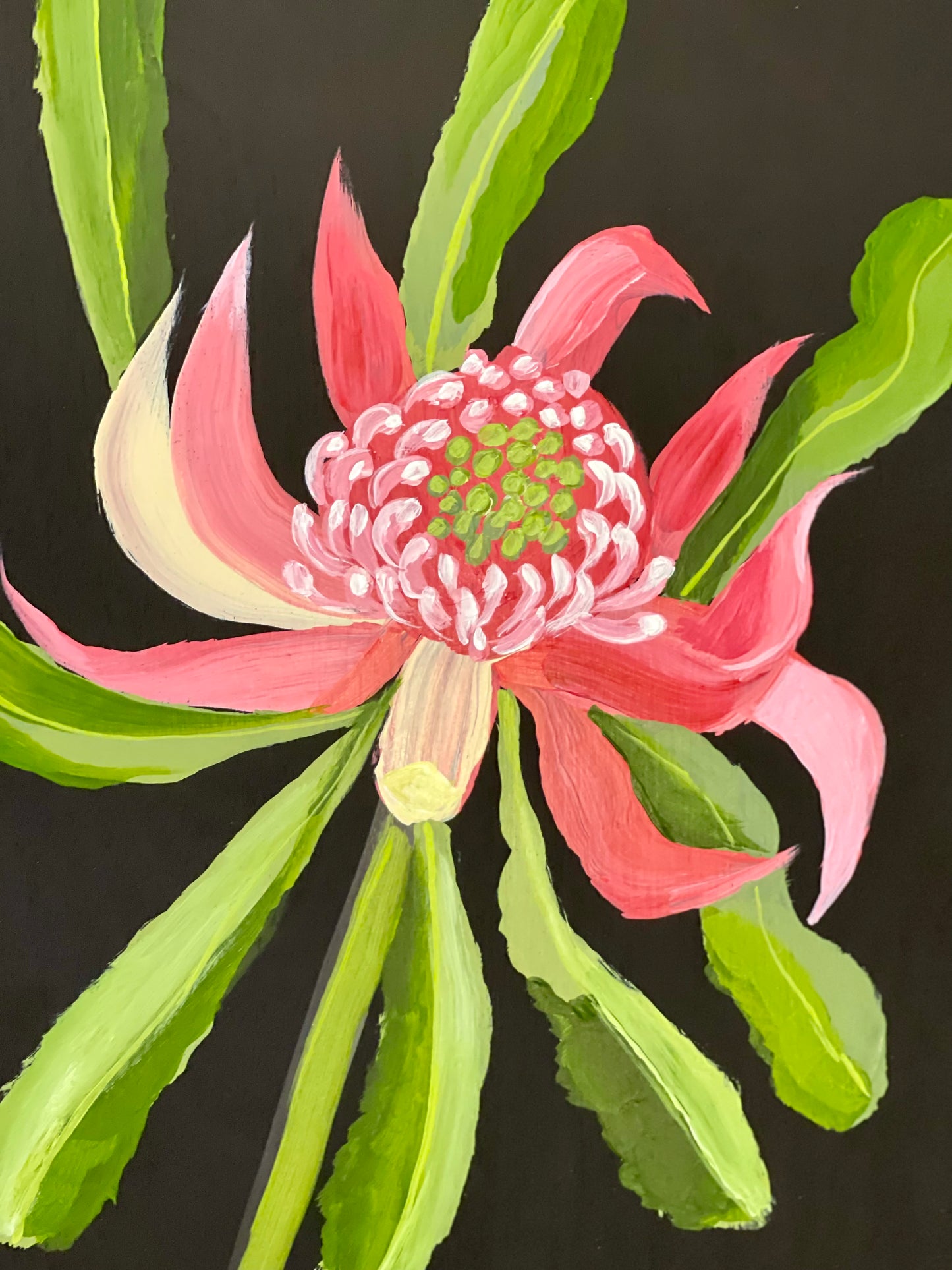 Waratah and kangaroo Paw