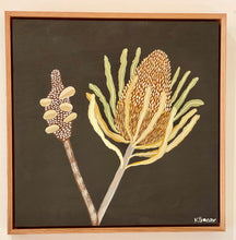 Load image into Gallery viewer, Pod and Banksia #2