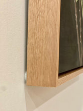 Load image into Gallery viewer, Pods and Banksia #2