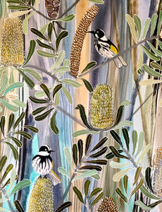 Summer Honeyeaters